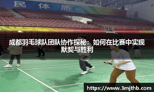 成都羽毛球队团队协作探秘：如何在比赛中实现默契与胜利